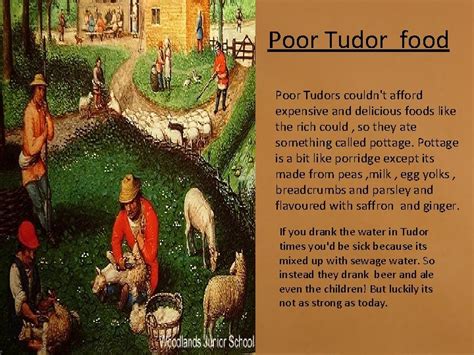 weird tudor food|tudor food rich vs poor.